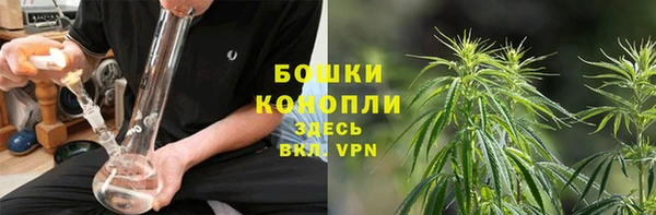 прущие крисы Богданович